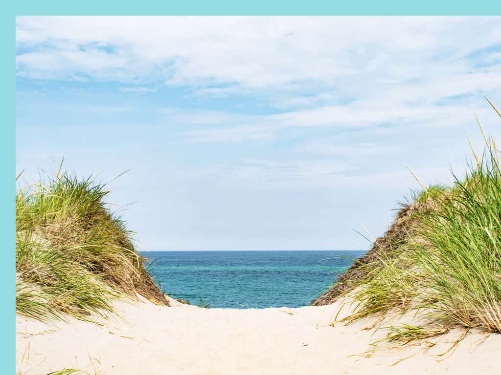 Cape Cod beach dunes