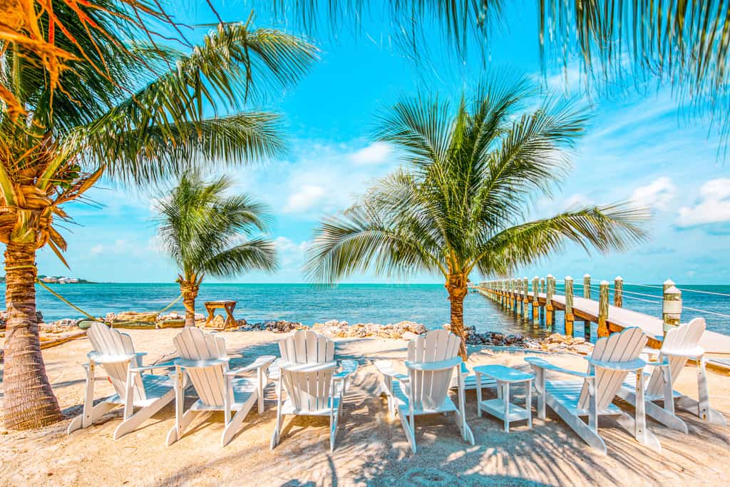 blue skies and palm trees surround Adirondack chairs situated on a beach in the Florida Keys