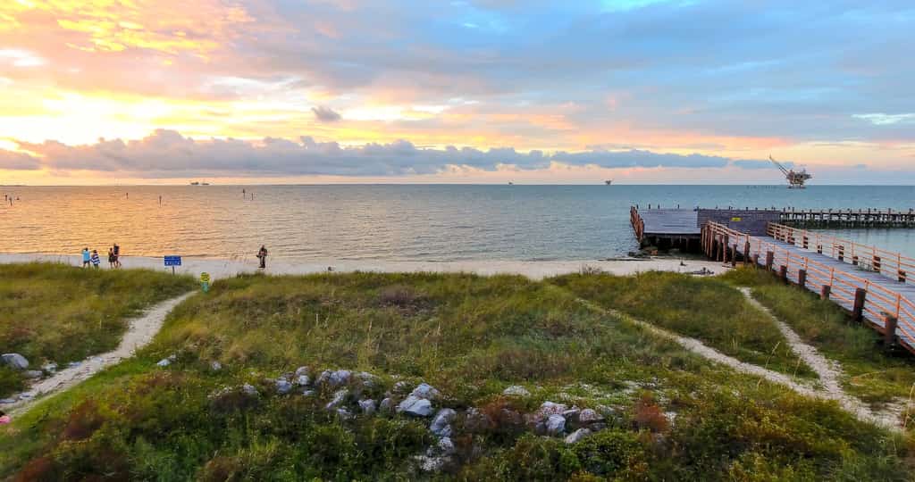 Beach grasses stir in the wind on a beach in Fort Morgan, AL at sunset