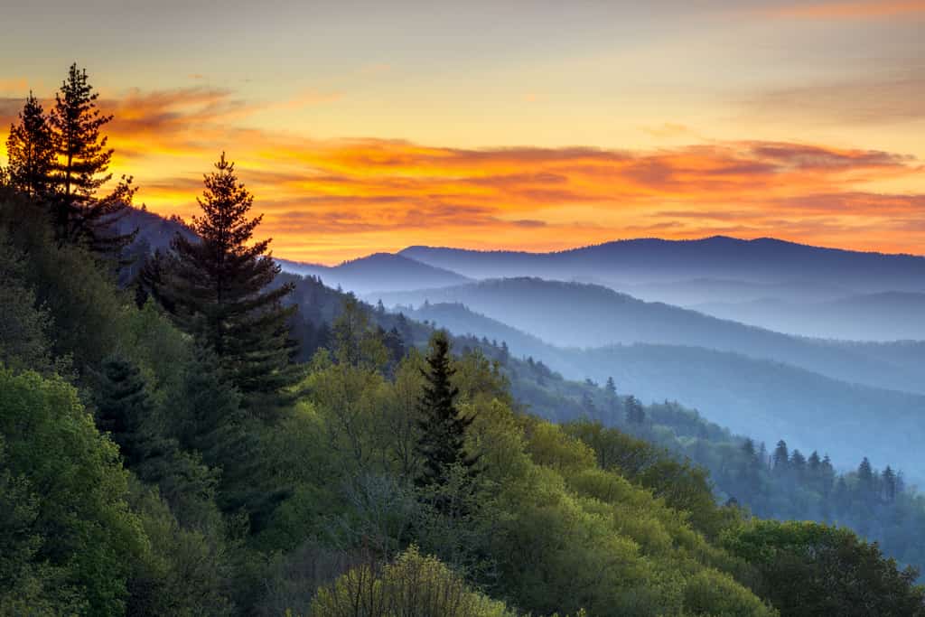 The Great Smoky Mountains.