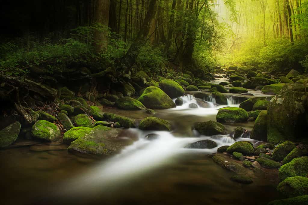 Best things to do in Gatlinburg, TN