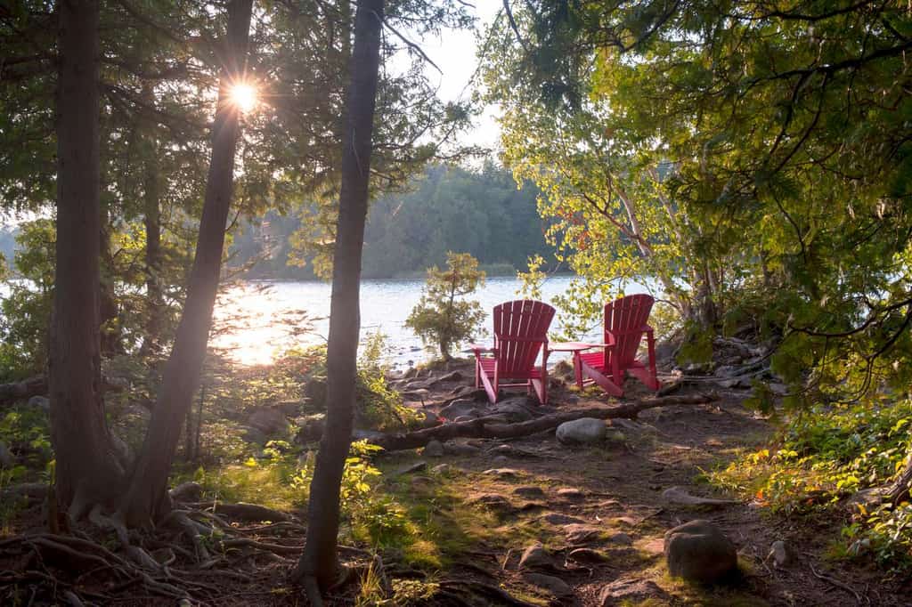 Two chairs near the lake.