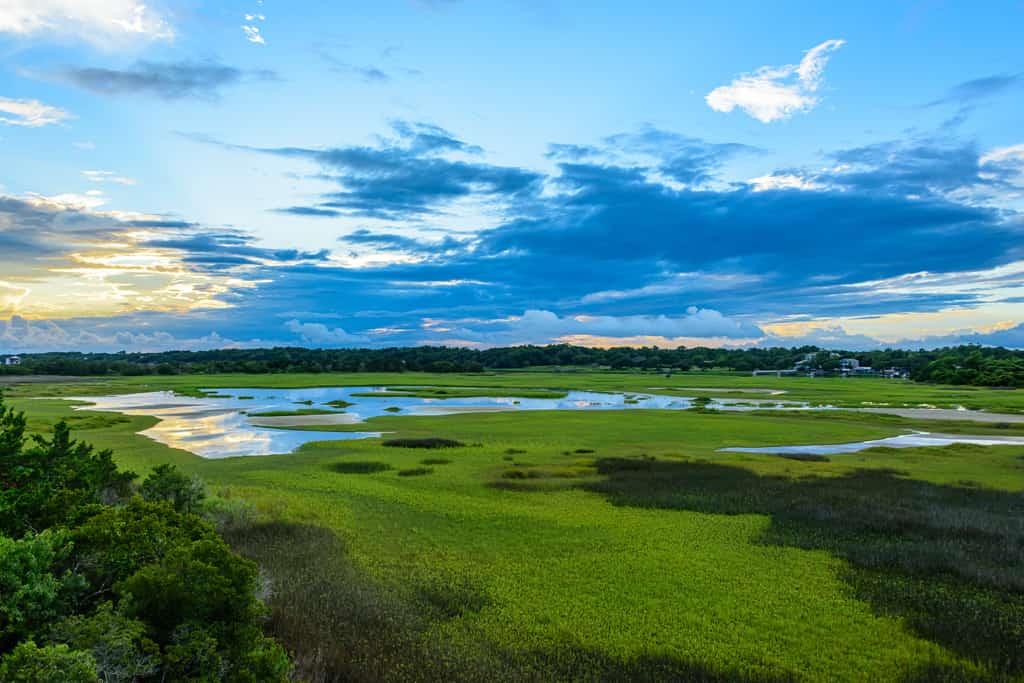 the wetlands of holden beach at sunset