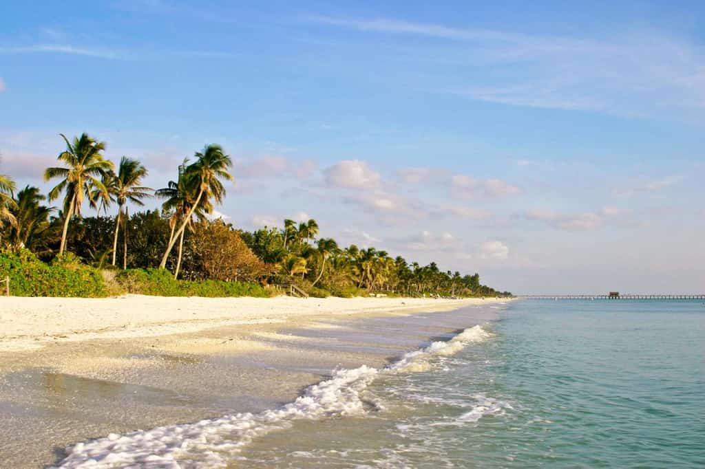Beach in Naples with the pier in the background.