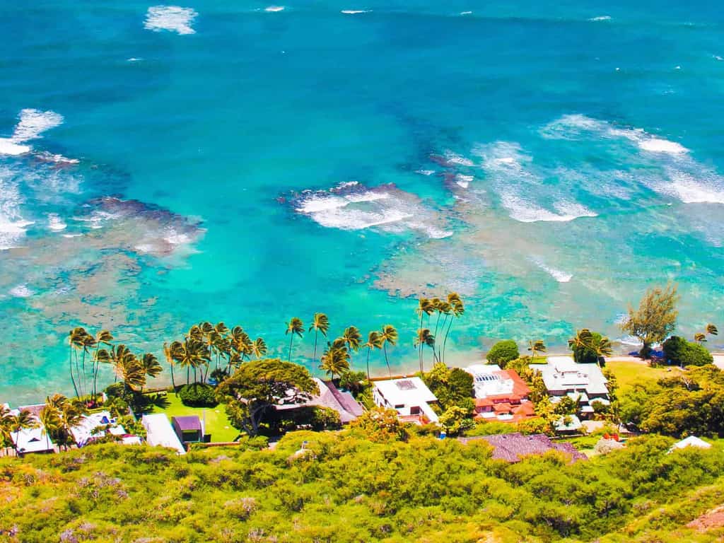Palm trees and ocean views in north Kona, Hawaii