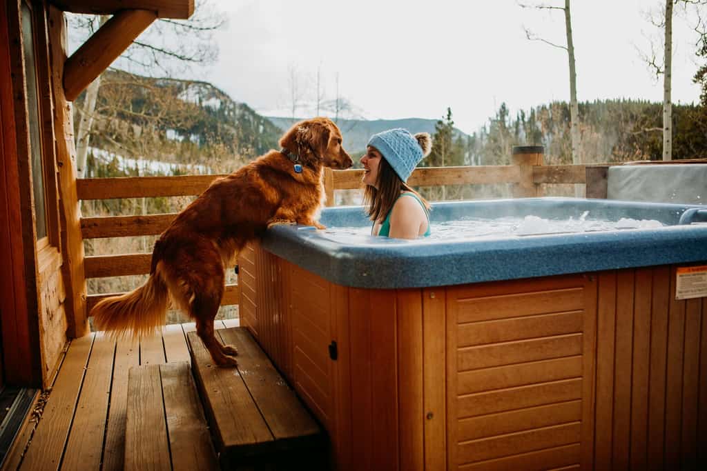 How to market your Airbnb to pet owners