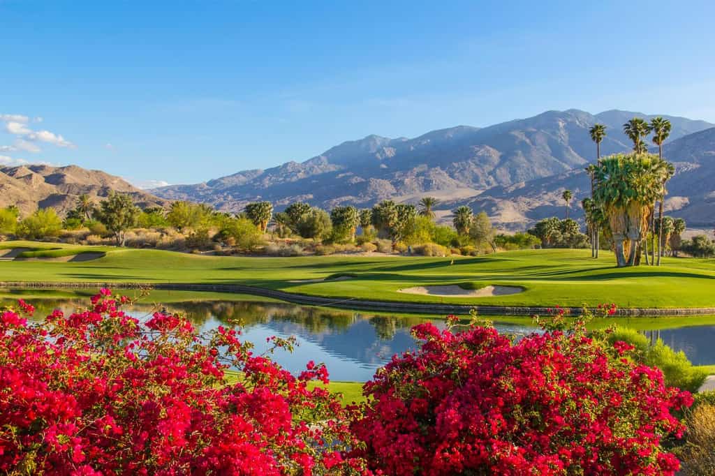 Palm Springs golf course with flowers in the foreground and mountains in the background. There's a water feature, sand trap and tree hazards too.
