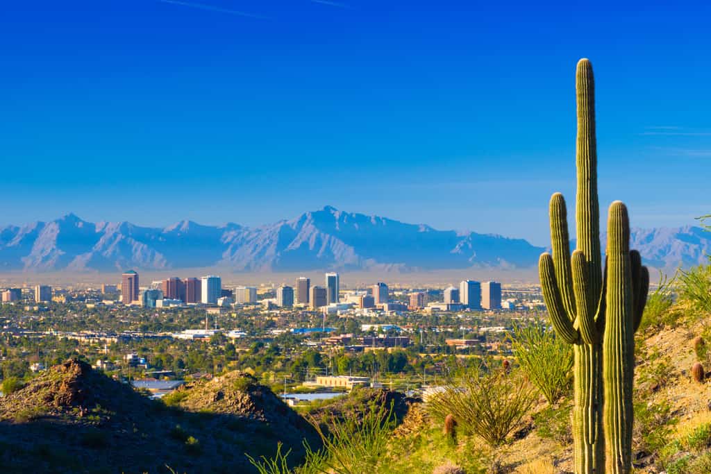 The view of Phoenix, Arizona's cityscape with mountains in the background and a cactus in the foreground.