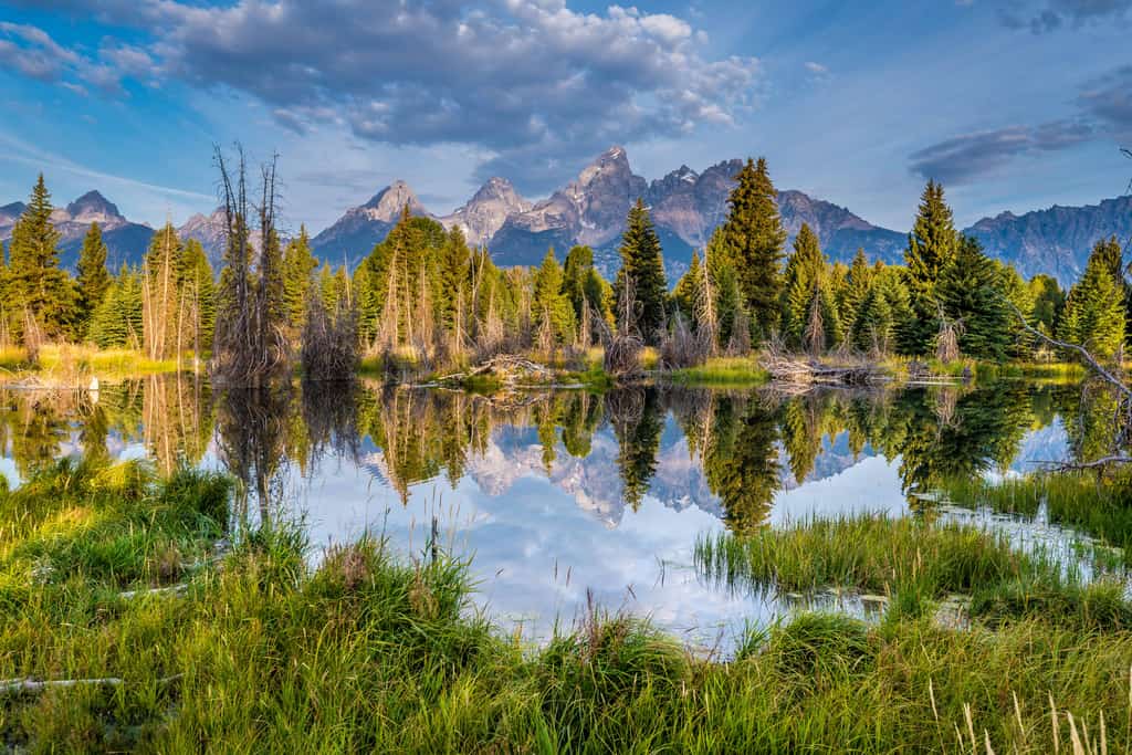 Vacation rentals for the adventurer.