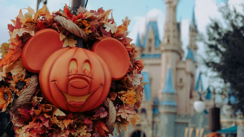 disney world decorated for fall