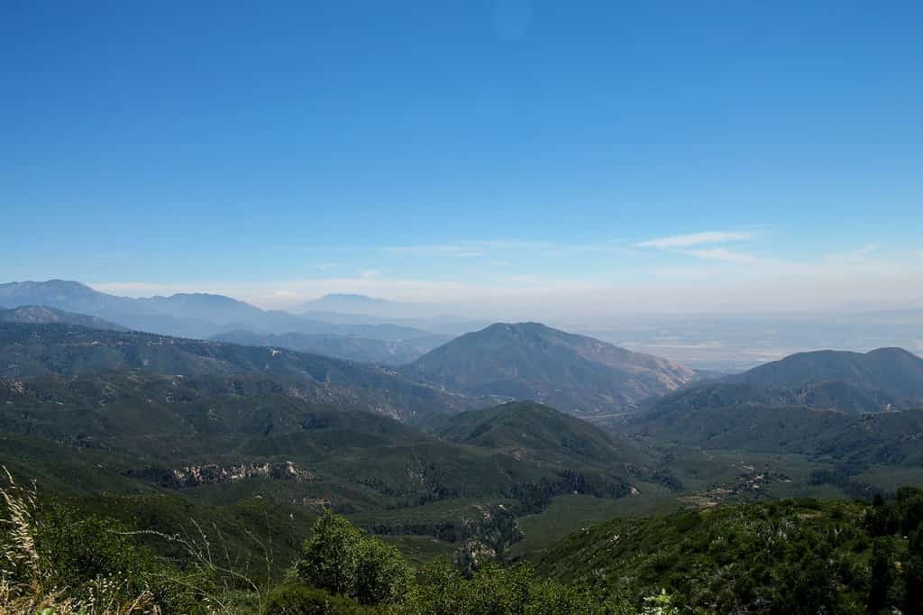 a view of a forest in Big Bear
