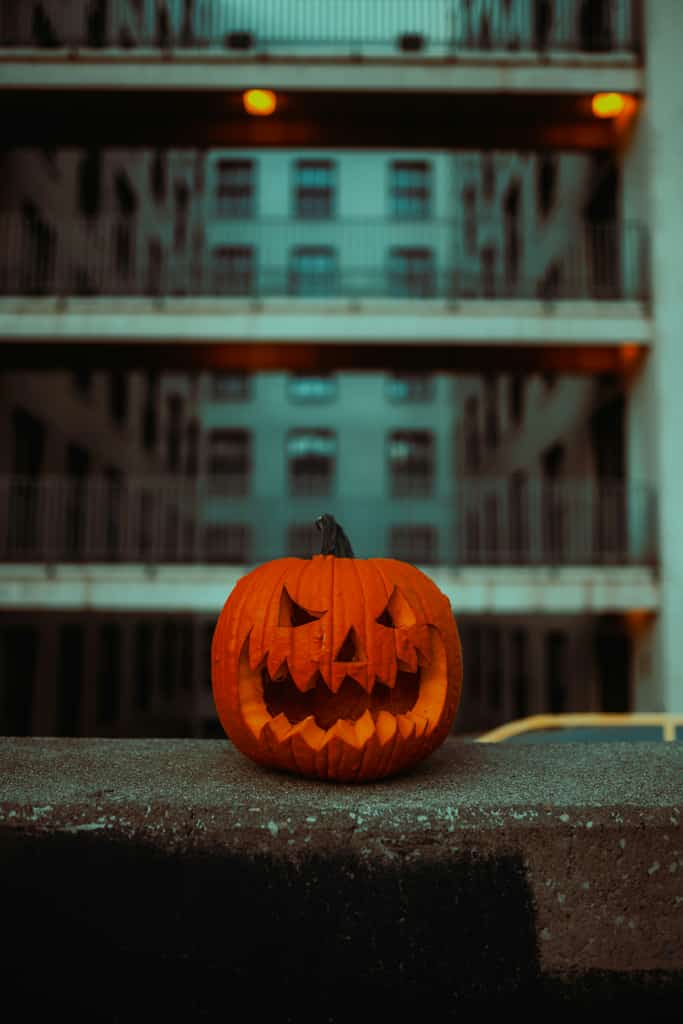Halloween pumpkin in Savannah.