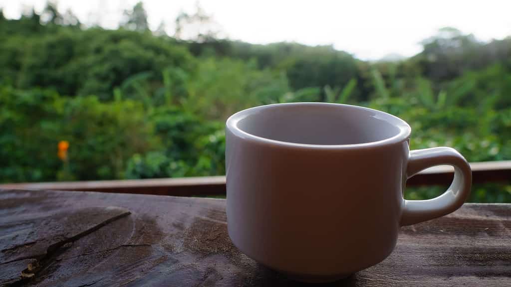 A coffee cup on a balcony with an out of focus tropical background