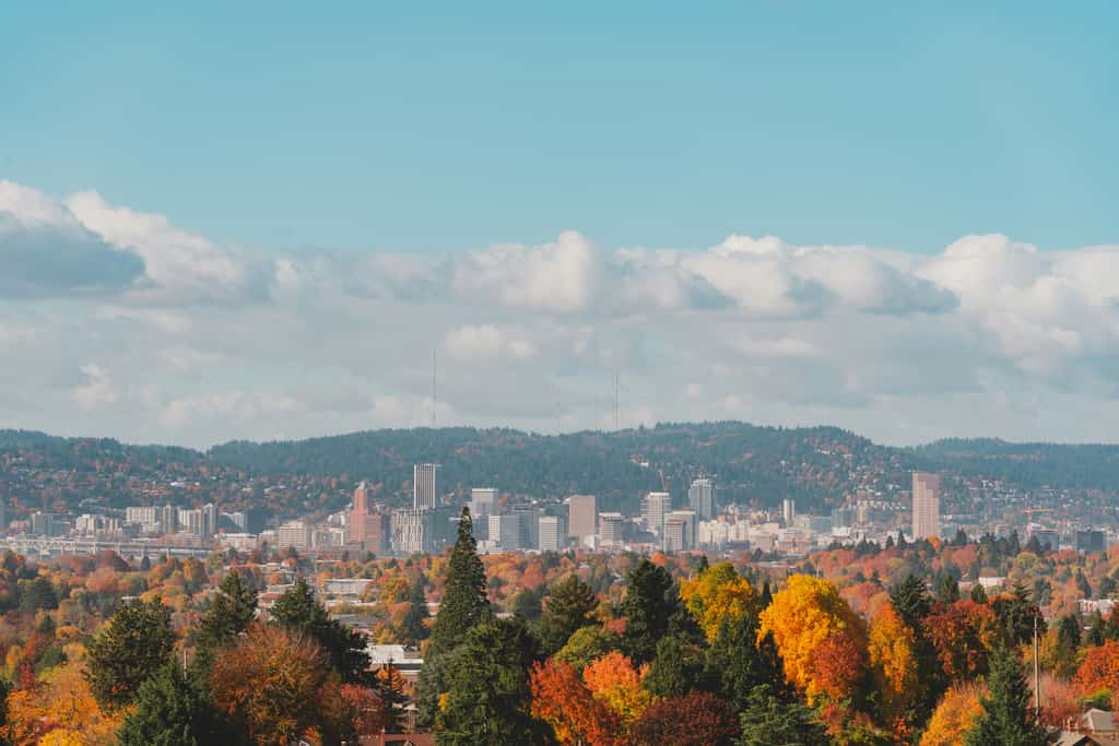 Fall in Portland