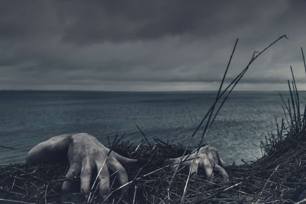 View of the ocean with creepy hands grabbing grass.