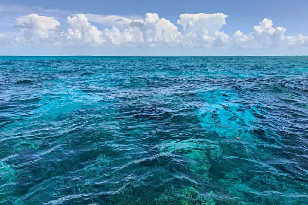 Clear blue water is perfect for snorkeling in the Florida Keys