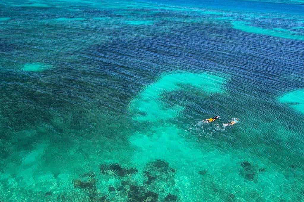 Two vacationers snorkeling in the Florida Keys