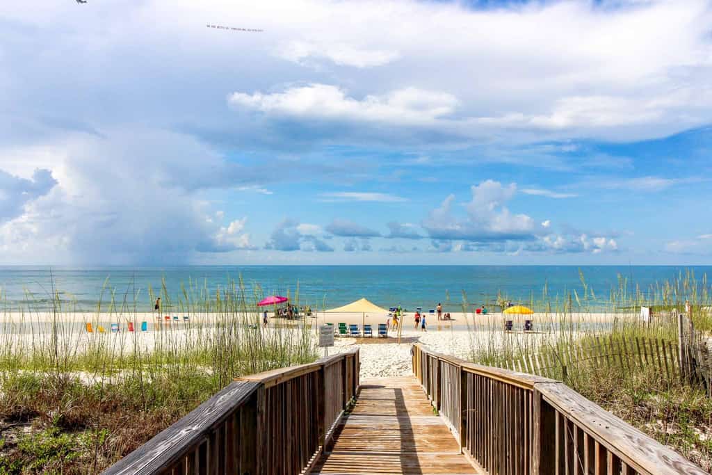 boardwalk surrounded by tall grass leading to beach in Gulf Shores