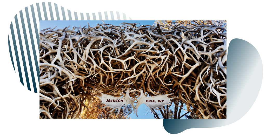 famous antler arch in jackson hole