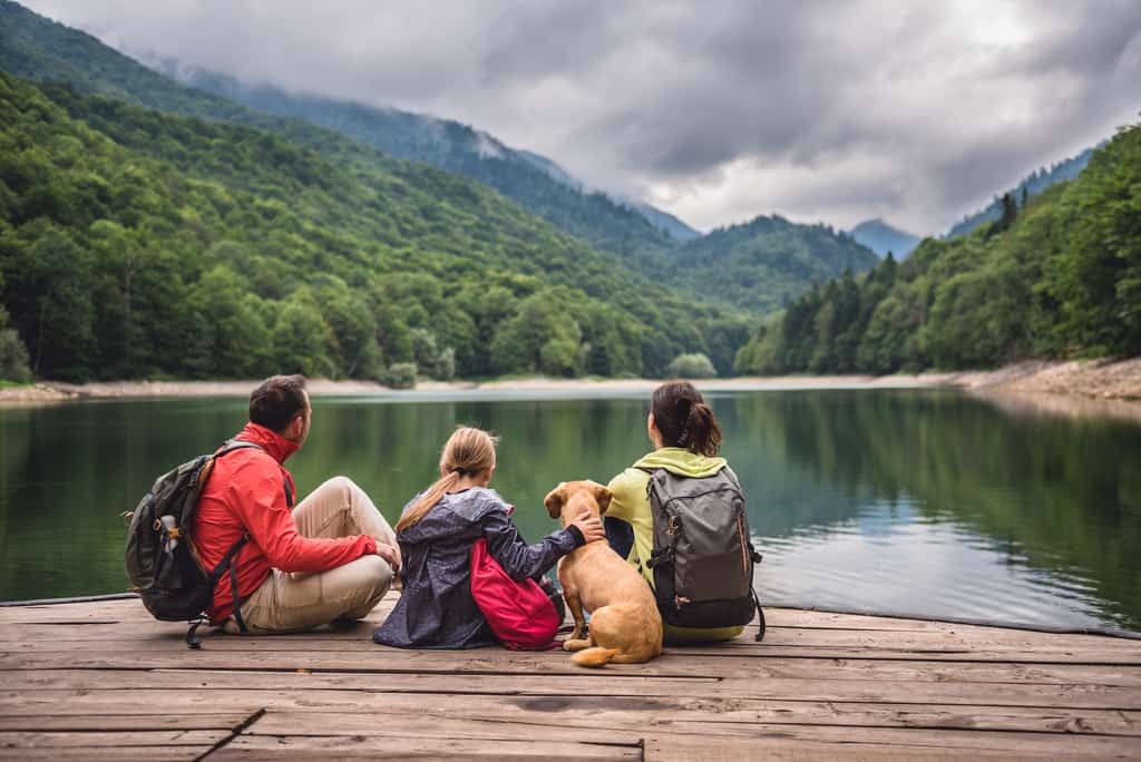 A dog with its family sitting on a dock at the lake