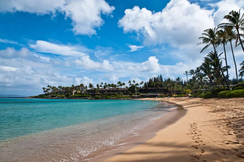 Beach coastline in Maui, HI with palm trees and resort at the end