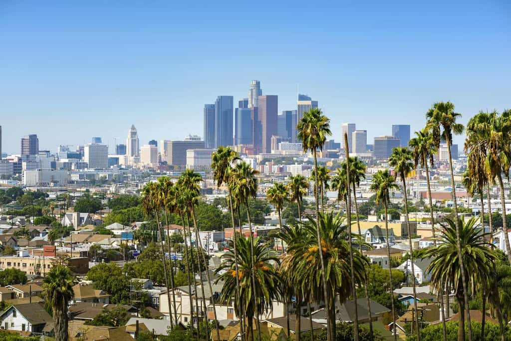 Image of downtown LA.