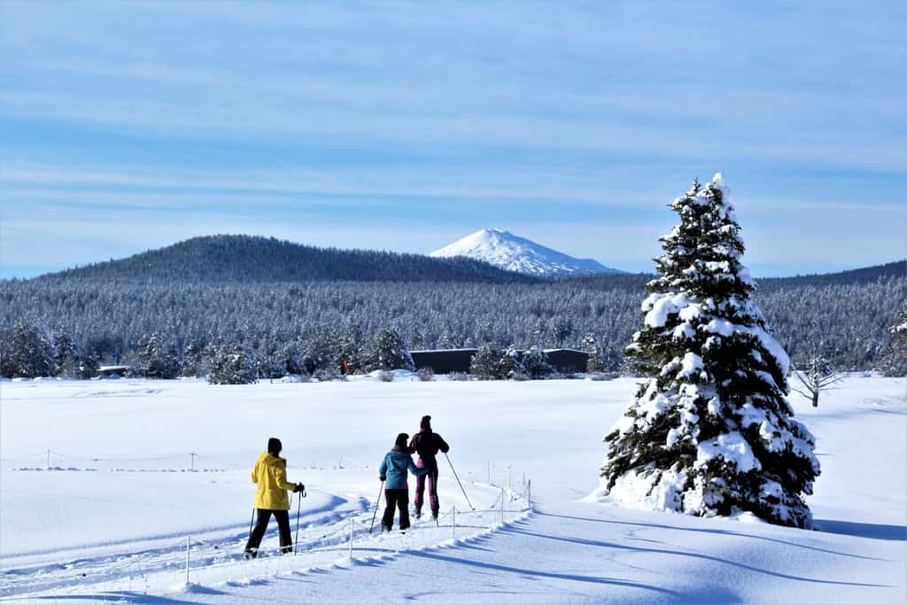 Cross country skiers in a field with a mountain in the background.