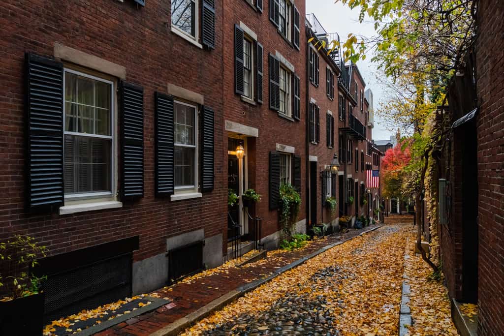 A street in Massachusetts line with brownstone homes and fall foliage leaf cover.