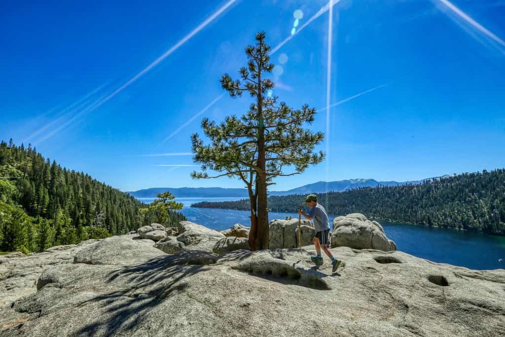 boy hiking to a lone tree at Emerald Bay in Lake Tahoe