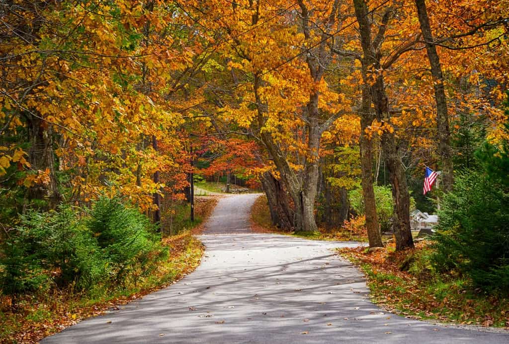 Road in New England, ME with trees showing autumn colors.