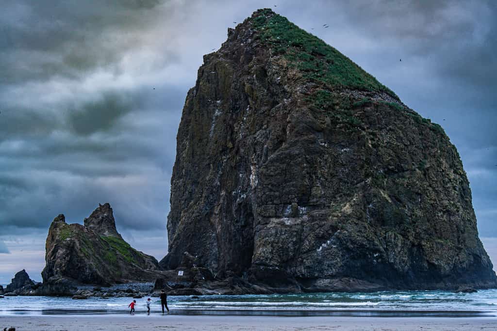 a family walks in front of haystack rock in cannon beach, oregon, during winter