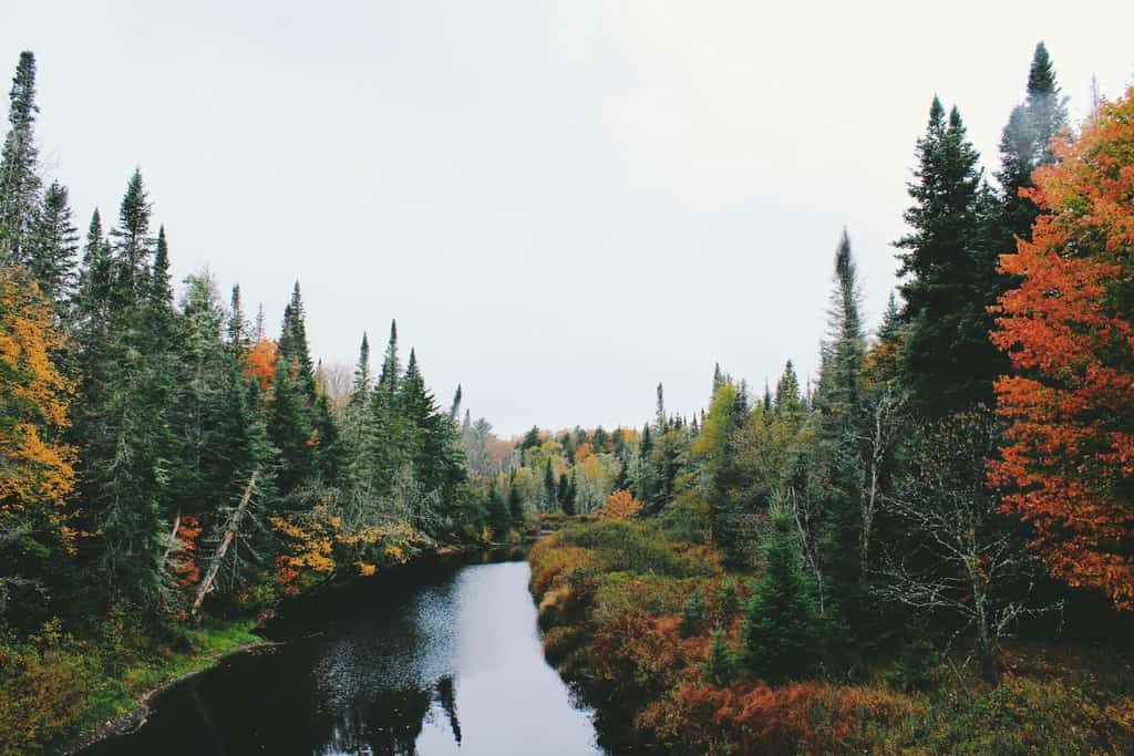 the adirondacks in the fall