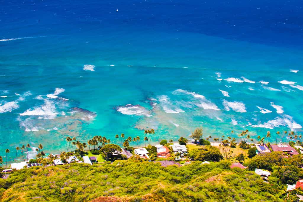 Epic Hawaii hero
