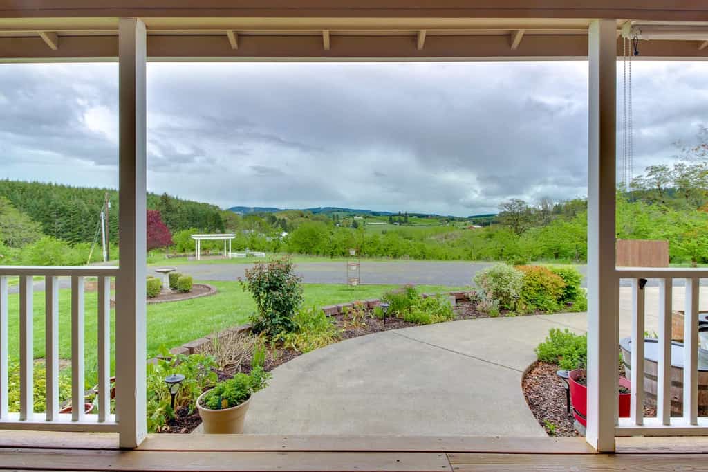 Oregon vineyard