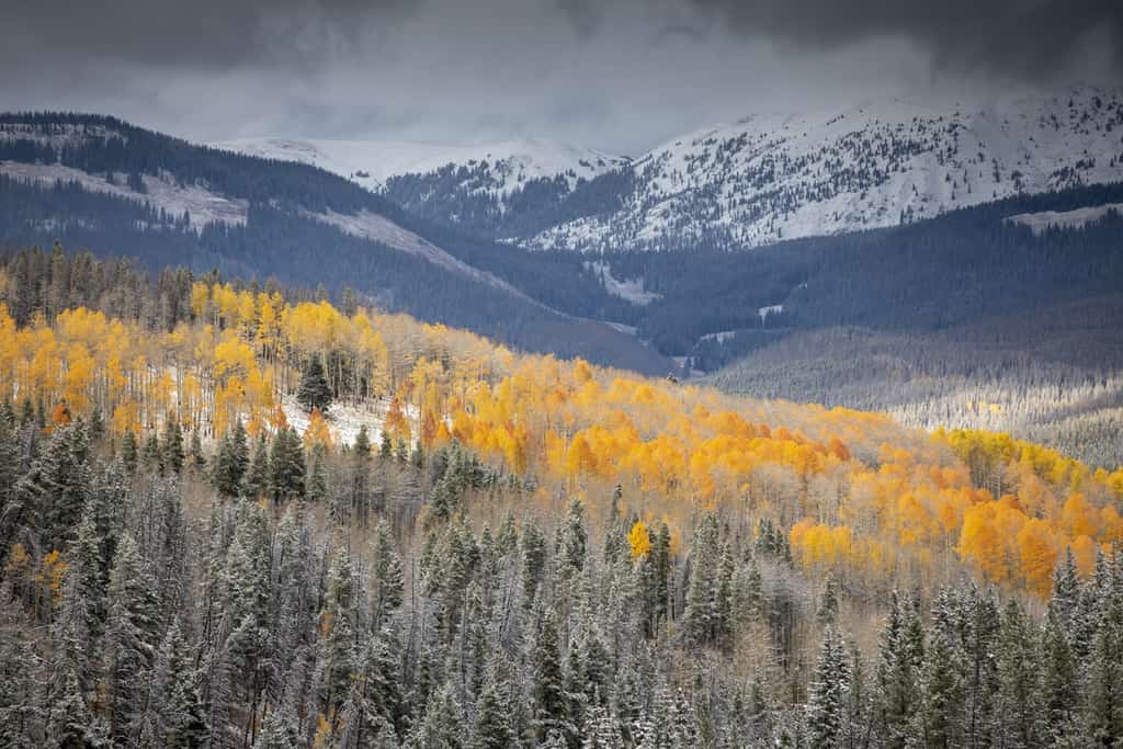 snowy mountains in Vail, CO