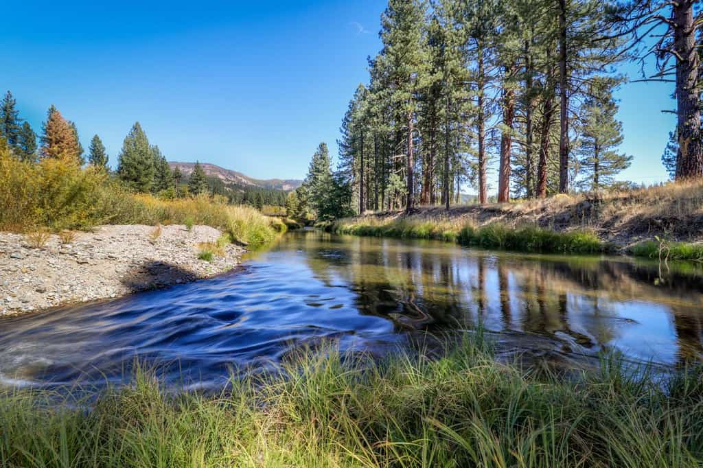 River in northern California