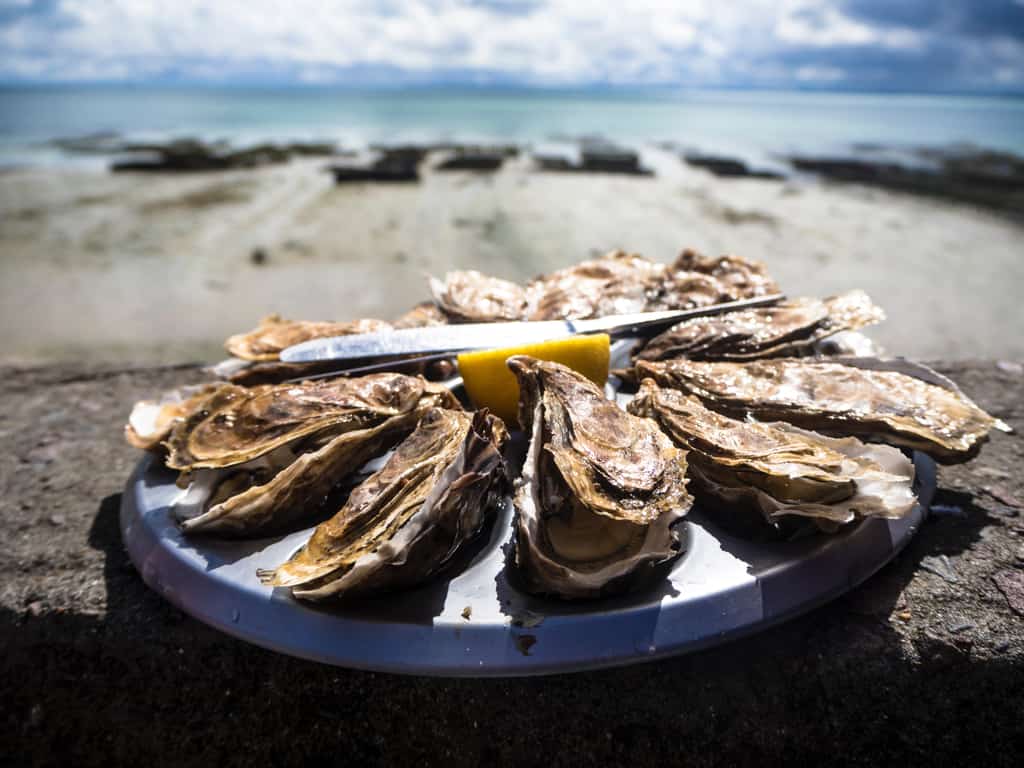 A plate of shucked oysters overlooking a beach.
