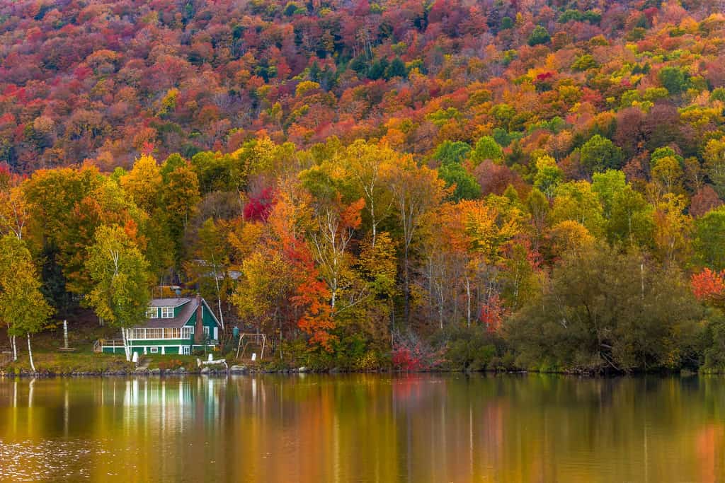 Fall colors in Vermont