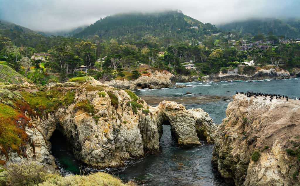 enchanting coves and sea caves on the coast of Carmel-by-the-Sea